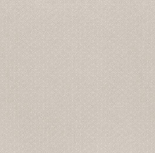 ڥ WEN-9208