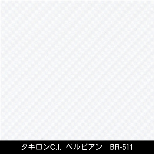 BR-511