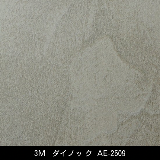 AE-2509