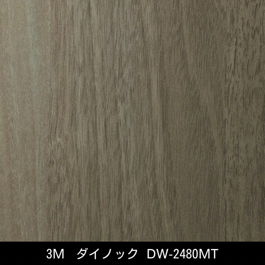 DW-2480MT