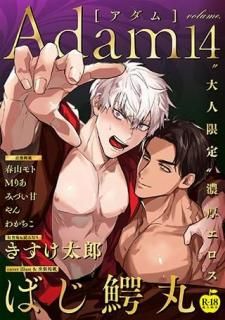 Adam volume.14<br />R18ǡ
