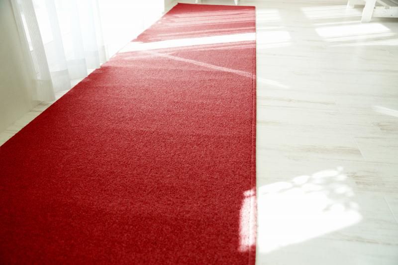 廊下敷きカーペット!はっ水・消臭効果トリプルフレッシュ【オメガ】