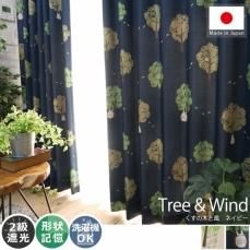 値下げです‼︎ カーテン　遮光　 トトロ　形状記憶　フック付210×185cm 値下げです‼︎ カーテン 遮光 トトロ 形状記憶 フック付210×185cm