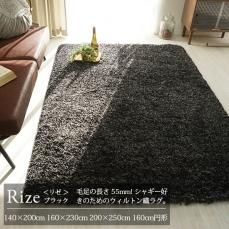 ラグジュアリーテイストのラグ - ラグ・カーペット通販【びっくり