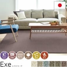 防ダニ・防音・防炎・日本製高機能ラグ『エグゼ ブルーグレー』- ラグ