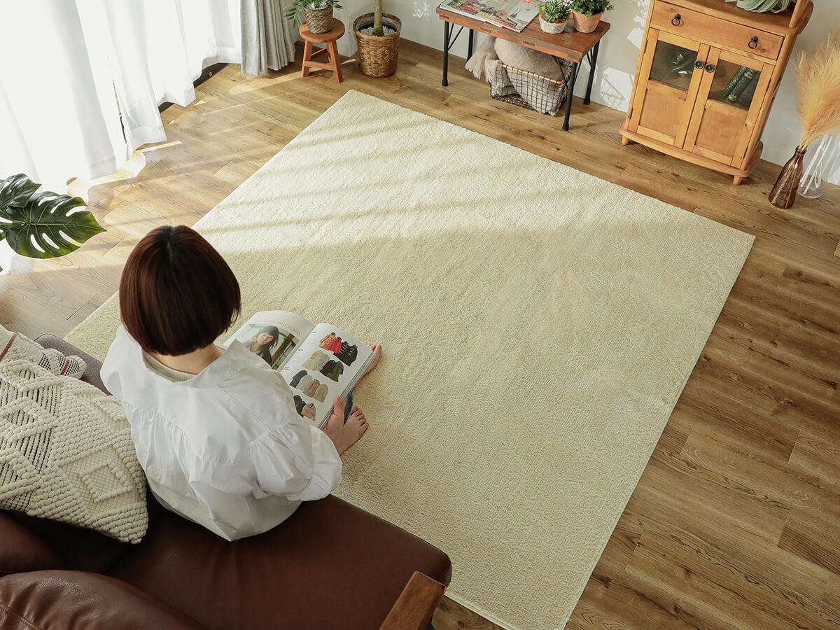 防ダニ・抗菌・消臭・ウィルス花粉対策に！おしゃれな国産高機能ラグ