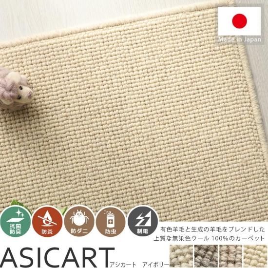 前編】カーペットの素材を解説！天然繊維6種類を徹底解剖 - ラグ