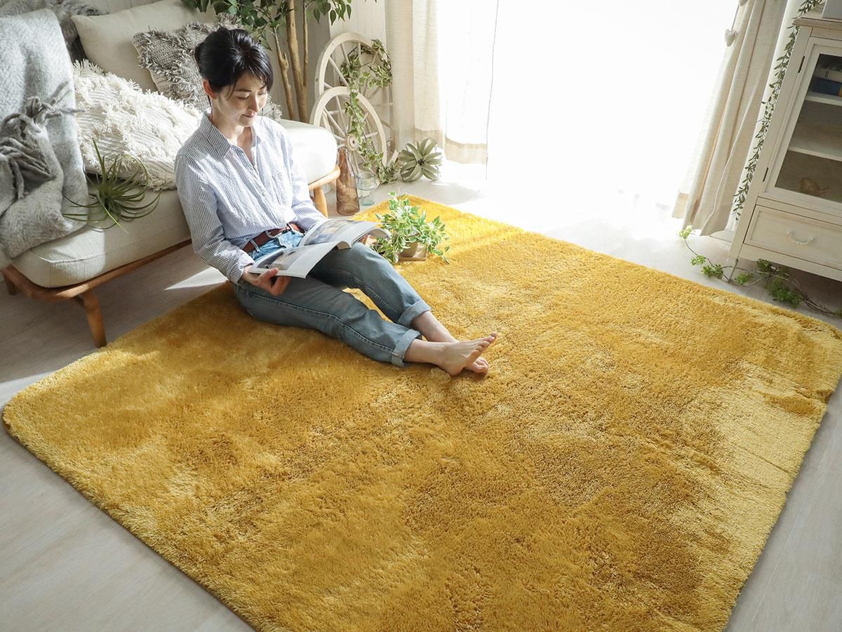 アウトレット】手洗いOK！スベリ止め付きマイクロファイバーラグ