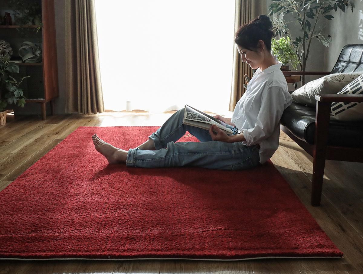 無地すぎないミックスパイルだから汚れが目立ちにくい！毛足の長い日本