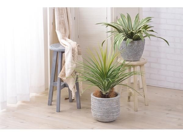 観葉植物をもっとオシャレに インテリア性にこだわった鉢カバー グリーンベース ラグ カーペット通販 びっくりカーペット 観葉植物をもっとオシャレに インテリア性にこだわった鉢カバー グリーンベース ラグ カーペット通販 びっくりカーペット