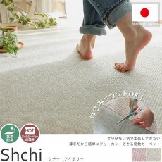 商品検索 - ラグ・カーペット・カーテン通販【びっくりカーペット】