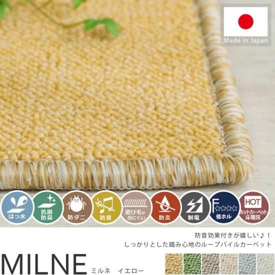 ɲǽդ򤷤äȤƧ߿ϤΥ롼ץѥ100ڥåȡإߥ͡