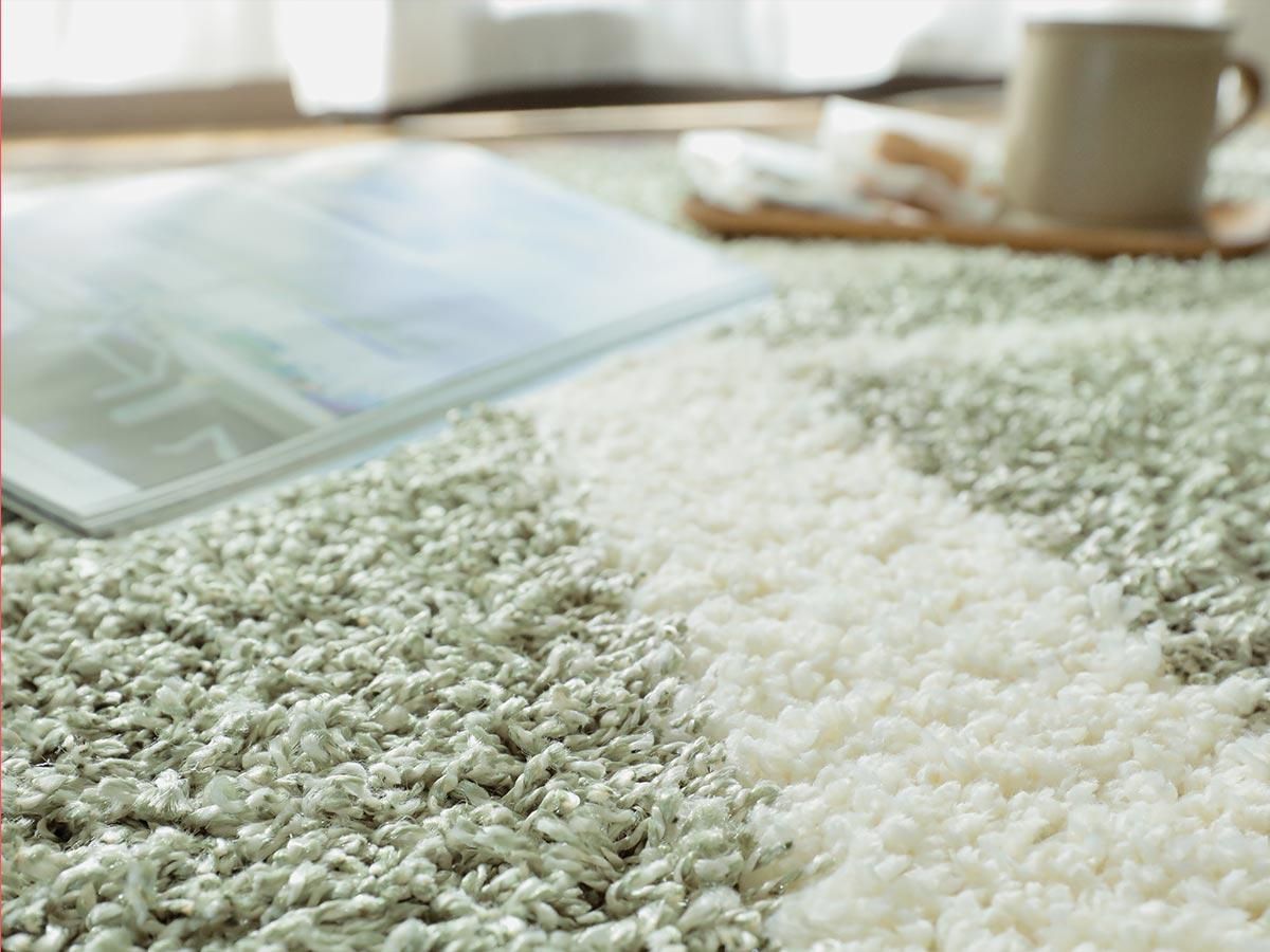 アース防ダニ機能搭載！安心安全の日本製ラグ 『ノーレン グリーン