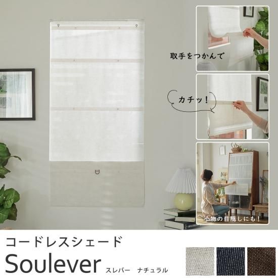 最終値下げ【美品（使用一回）】AND・DECO コードレスカーペット