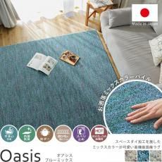ミックスカラーでいろんな表情が楽しめる摩擦に強いナイロンラグ『オアシス ブルーミックス』