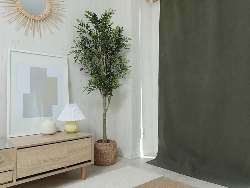 存在感のある綿100％帆布生地。経年劣化を楽しむ自分色に育てる