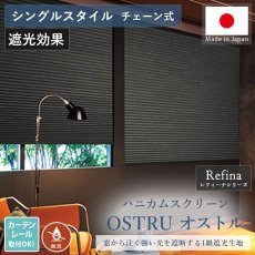 落ちついた雰囲気の窓辺空間に。日本製ハニカムスクリーン『オストル防炎（遮光） シングルスタイル　チェーン式』