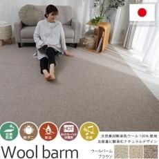 ウィルス対策に!抗菌カーペット・絨毯 - ラグ・カーペット通販 ウィルス対策に!抗菌カーペット・絨毯 - ラグ・カーペット通販