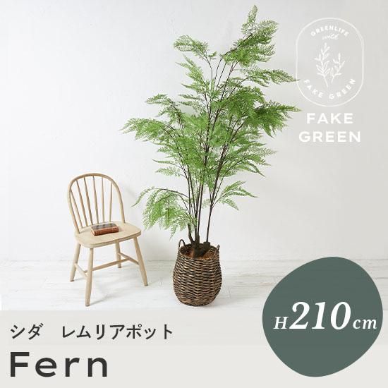 リアルなのにお手入れ不要！置くだけおしゃれなフェイクグリーン