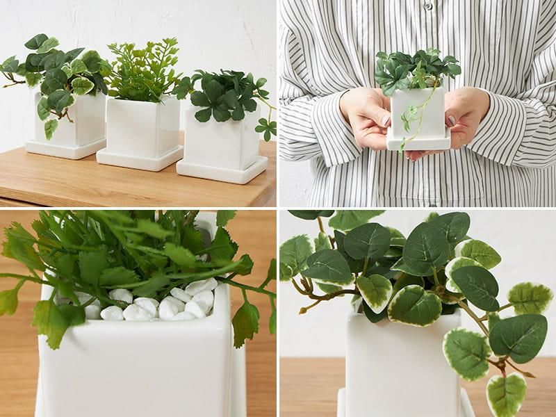 リアルなのにお手入れ不要！置くだけおしゃれなフェイクグリーン
