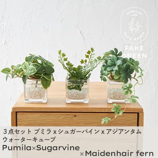 オーダーコメントページ フェイクグリーン リアルなのにお手入れ不要！置くだけおしゃれなフェイクグリーン