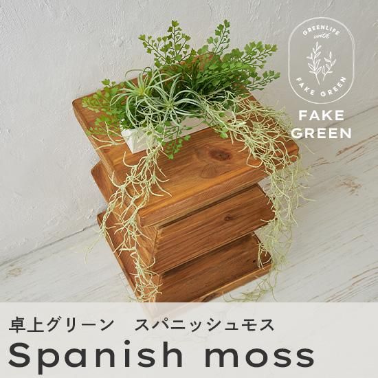 リアルなのにお手入れ不要！置くだけおしゃれなフェイクグリーン