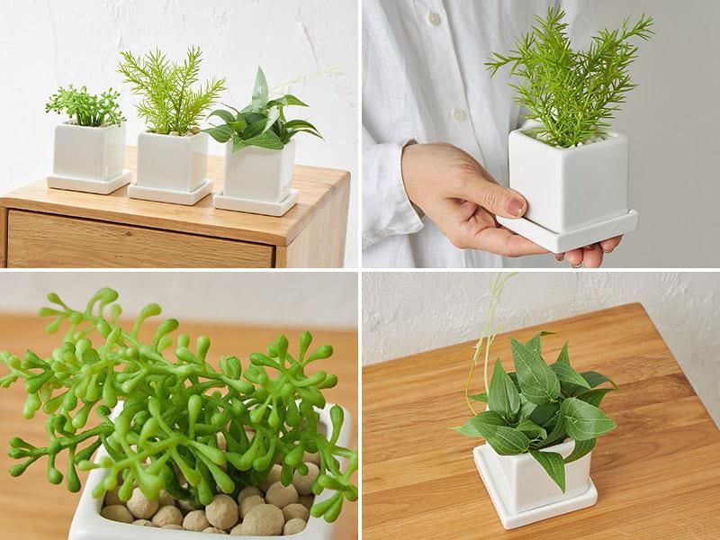 リアルなのにお手入れ不要！置くだけおしゃれなフェイクグリーン