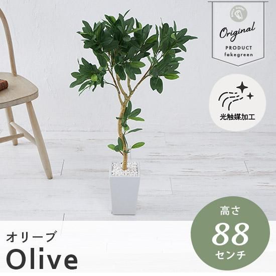リアルなのにお手入れ不要！置くだけおしゃれなフェイクグリーン 『オリーブ　H88』