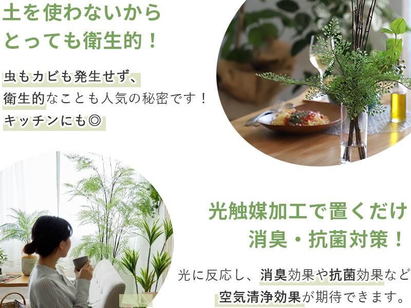 リアルなのにお手入れ不要！置くだけおしゃれなフェイクグリーン