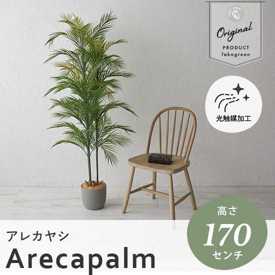 リアルなのにお手入れ不要！置くだけおしゃれなフェイクグリーン