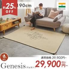 ޤϤ५顼ȥǥ󡪼꿥Υ饰إͥ130x190cm