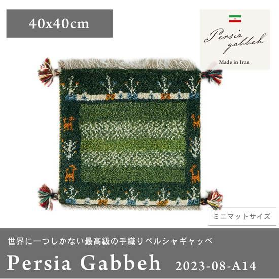 【一点もので、一生もの】草木染天然ウール100%ペルシャギャッベ チェアパッド 約40x40cm 2023-08-A14