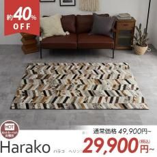 󥯾Τˡࡼɺǥ饰إϥ饳إܡ 