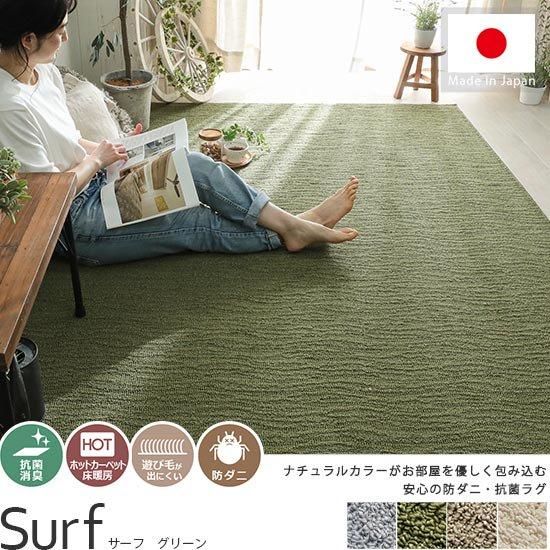 オールシーズンOK！安心の防ダニ・抗菌加工 日本製ラグ『サーフ 