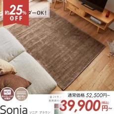 ڥȥåȡ100٤ ŷǺӥ졼100󡪥ӡåǤʥڥåȡإ˥ ֥饦130x190cm
