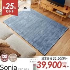 ڥȥåȡ100٤ ŷǺӥ졼100󡪥ӡåʸʥڥåȡإ˥ 130x190cm  1