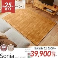 ڥȥåȡ100٤ ŷǺӥ졼100󡪥ӡåǤʥڥåȡإ˥ 󥸡130x190cm