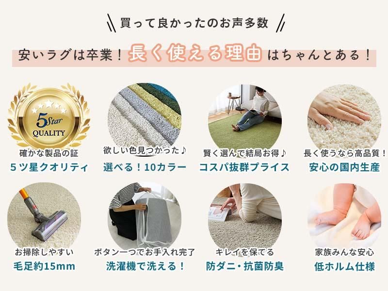 ガーベラ様 リクエスト 5点 まとめ商品 湘南マツキガーベラ 2025-2026 ライトピンク/特殊色の品種リストです