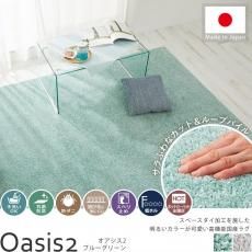 手洗いOK!アース防ダニ・抗菌加工で安心♪摩擦に強いおしゃれな国産ナイロンラグ『オアシス2 ブルーグリーン』
