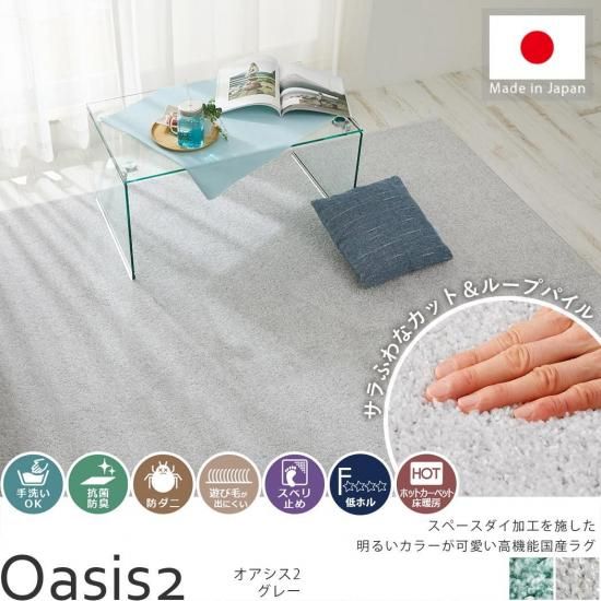 OKɥˡݲùǰ¿໤˶ʹ񻺥ʥ饰إ2졼