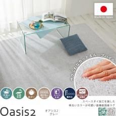 手洗いOK!アース防ダニ・抗菌加工で安心♪摩擦に強いおしゃれな国産ナイロンラグ『オアシス2 グレー』