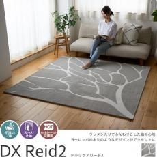 ̲ʥΥȡǥ󤬤졣쥿ǿϤ른㥬ɿ饰DX꡼2