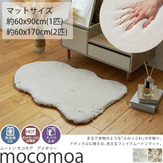 ࡼȥ󡡥⥳⥢1ɤ/2ɤܥ꡼