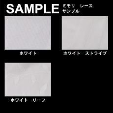 �����ƥ�̵������ץ롡�إߥ�� �졼����