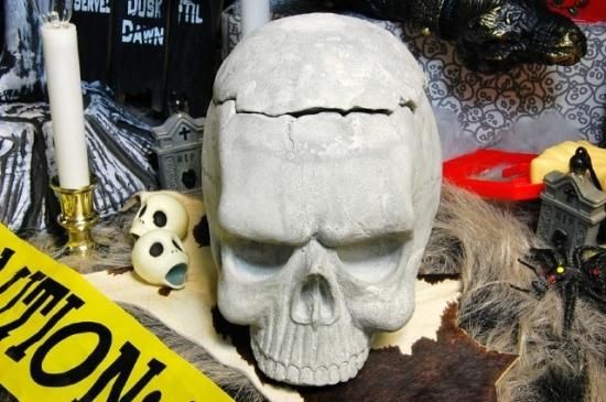 ドクロ 髑髏 スカル ドラゴン 置物 インテリア 【公式通販】