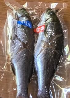 イサキ関連商品 Fish Cook Book うえはら株式会社 長崎 対馬