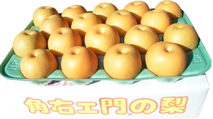 ˭5kg 22