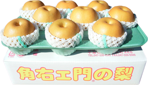 ˭5kg 611