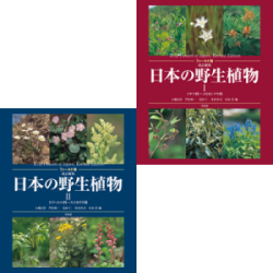 フィールド版 日本の野生植物 | 植物図鑑 | 学習と教育を支援する通販