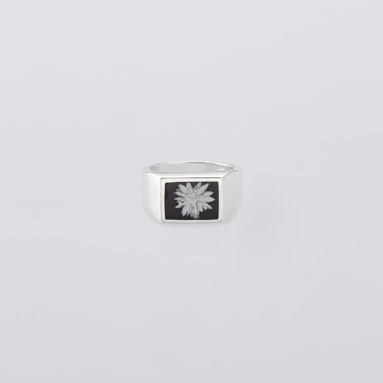 ショロジュエリー XOLO JEWELRY の商品ページ 通販 Transistor ショロジュエリー XOLO JEWELRY の商品ページ 通販 Transistor